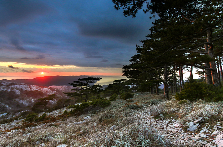 Viganj, Pelješac